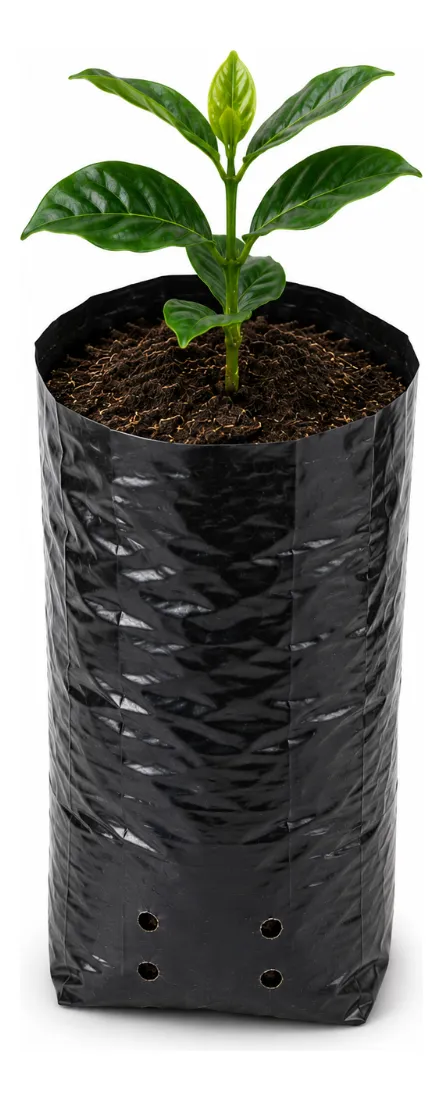 Sacos Para Mudas Café 10x20 60 Micras 10.000un Preto Nuplast