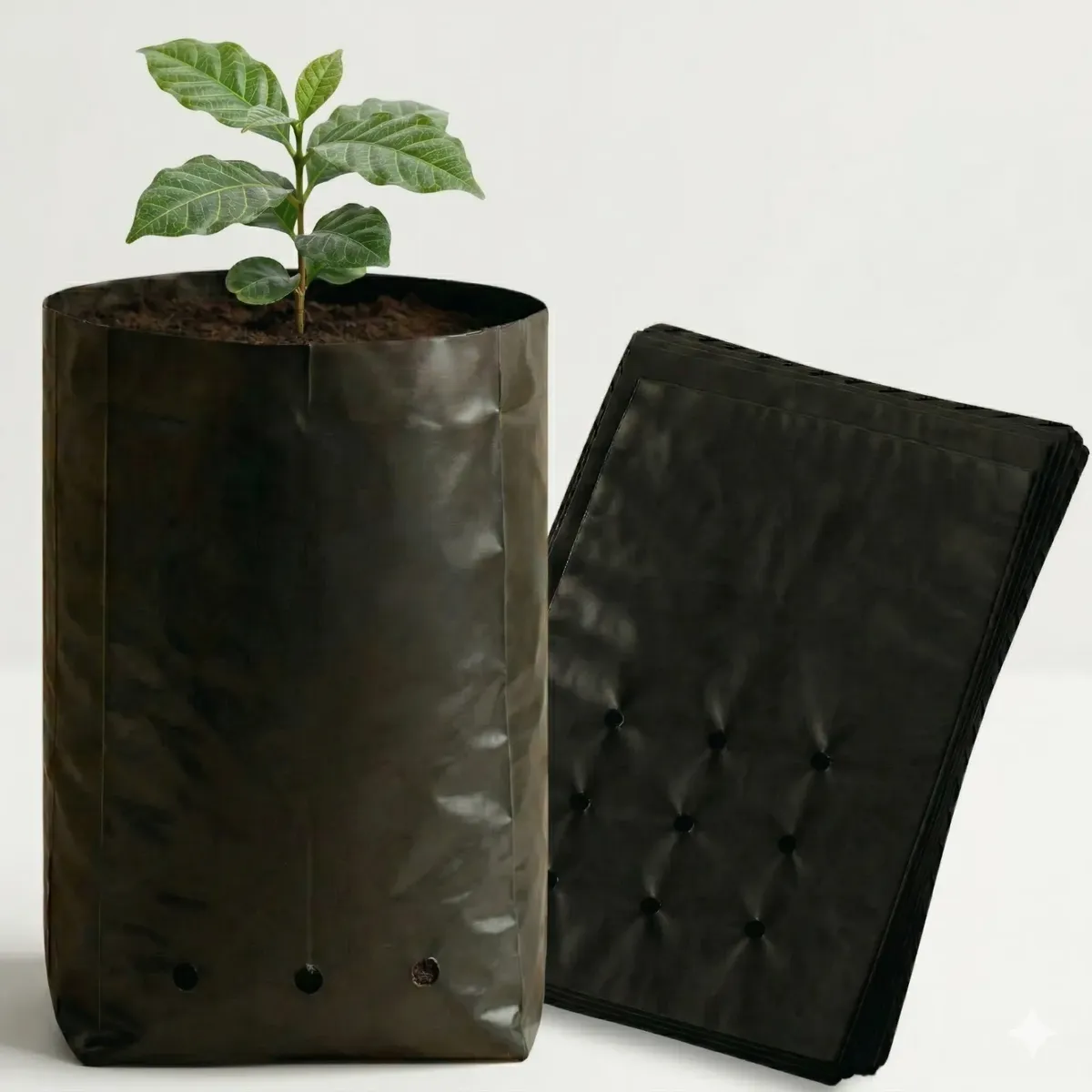 Saco Para Mudas Madeireiras 18x30 60 Micras 500un Nuplast