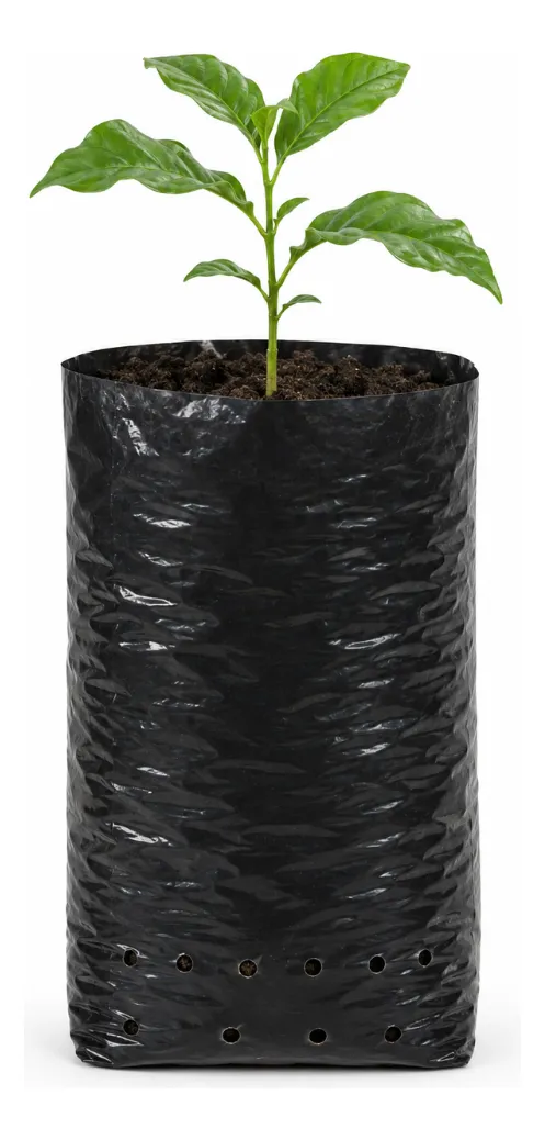 Saco Para Mudas Café 10x20 60 Micras 1000un Preto Nuplast
